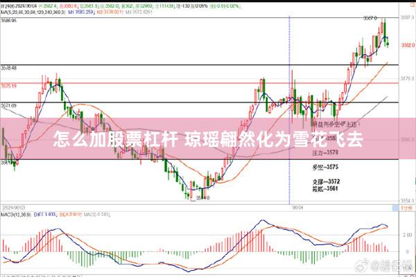 怎么加股票杠杆 琼瑶翩然化为雪花飞去