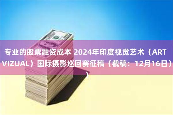 专业的股票融资成本 2024年印度视觉艺术（ART VIZUAL）国际摄影巡回赛征稿（截稿：12月16日）