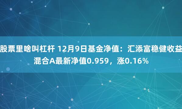 股票里啥叫杠杆 12月9日基金净值：汇添富稳健收益混合A最新净值0.959，涨0.16%