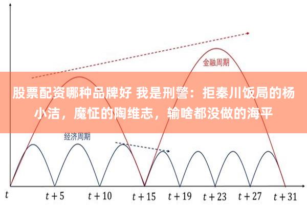 股票配资哪种品牌好 我是刑警：拒秦川饭局的杨小洁，魔怔的陶维志，输啥都没做的海平