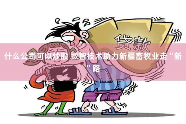 什么公司可以炒股 数智技术助力新疆畜牧业走“新”路